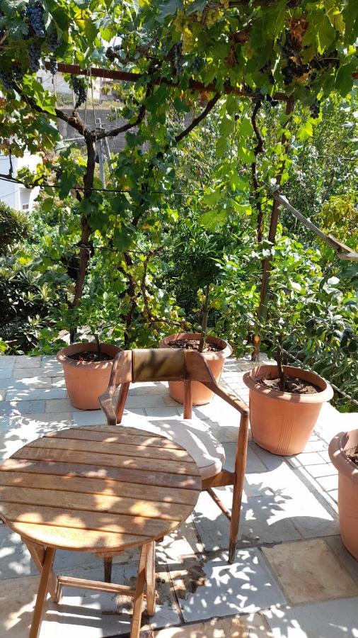 Camping Late Gjirokaster Bagian luar foto