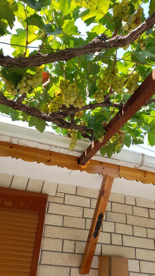 Camping Late Gjirokaster Bagian luar foto