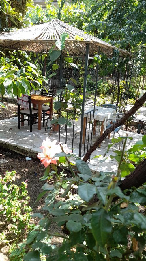 Camping Late Gjirokaster Bagian luar foto