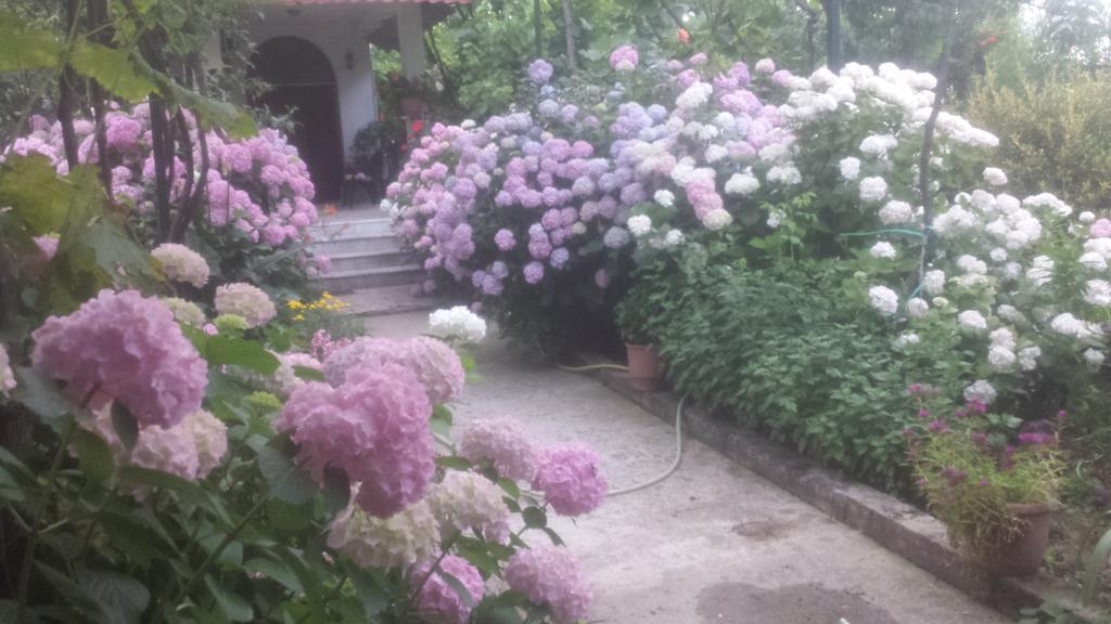 Camping Late Gjirokaster Bagian luar foto