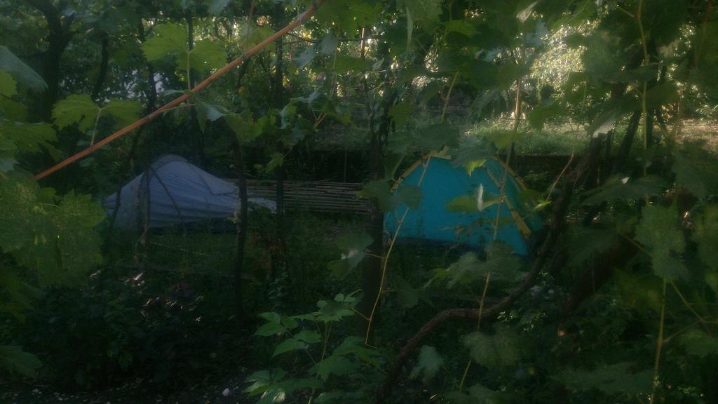 Camping Late Gjirokaster Bagian luar foto