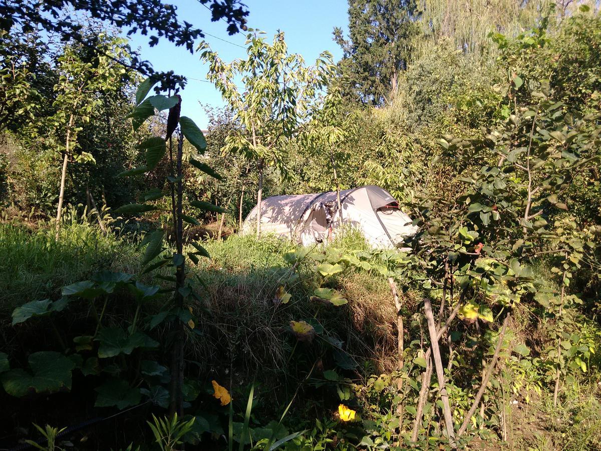 Camping Late Gjirokaster Bagian luar foto